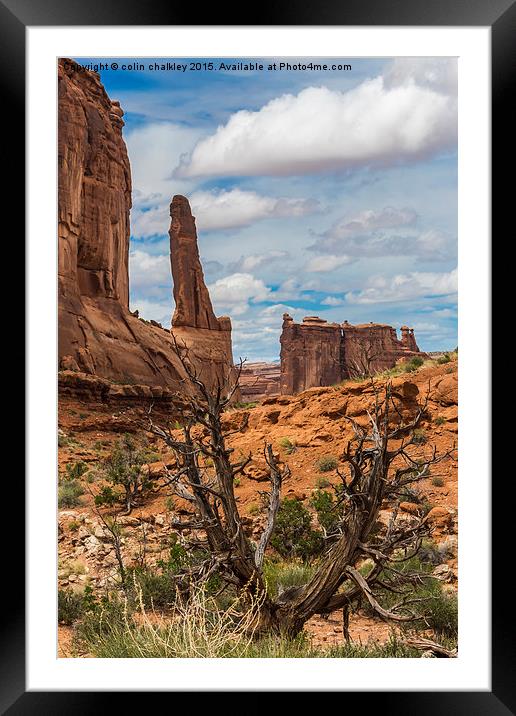  Barren Landscape in Arches National Park Framed Mounted Print by colin chalkley