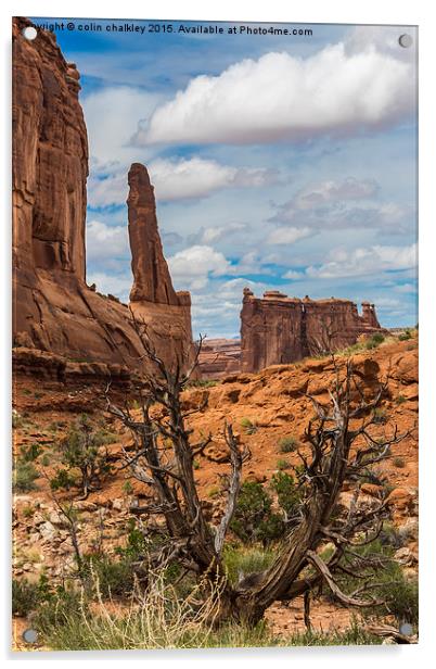  Barren Landscape in Arches National Park Acrylic by colin chalkley