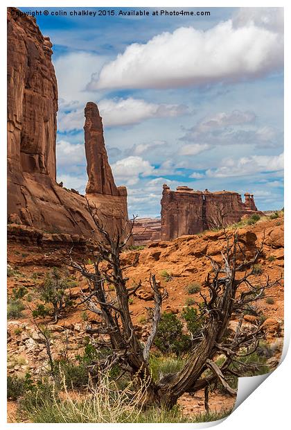  Barren Landscape in Arches National Park Print by colin chalkley