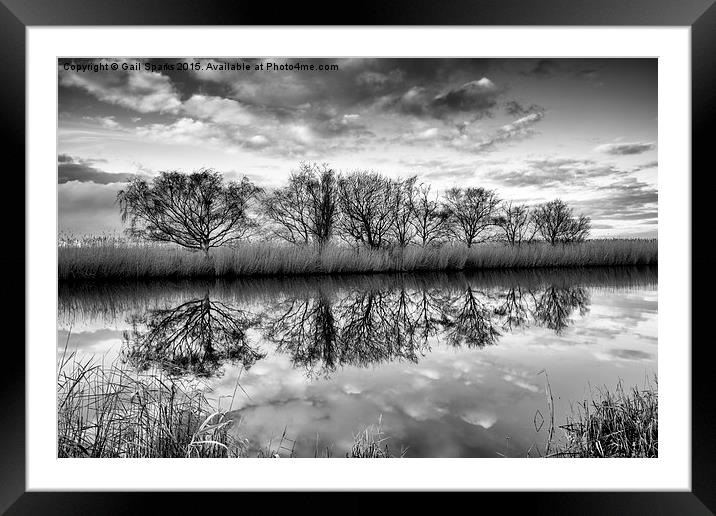  Tree Reflection Framed Mounted Print by Gail Sparks