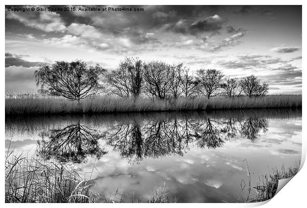  Tree Reflection Print by Gail Sparks