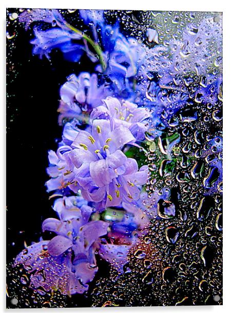  closeup flora  Acrylic by dale rys (LP)