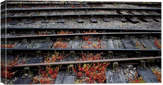  Train Tracks and sleepers Canvas Print by Simon Alesbrook