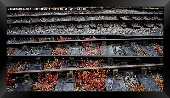  Train Tracks and sleepers Framed Print by Simon Alesbrook