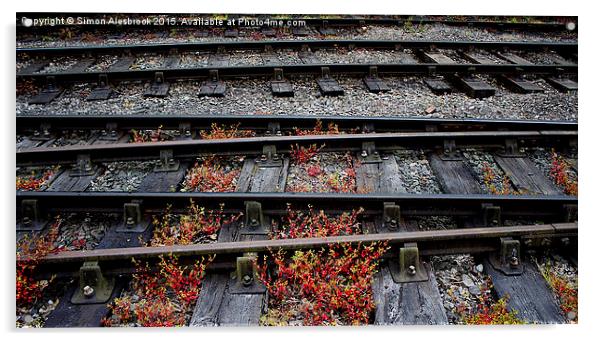  Train Tracks and sleepers Acrylic by Simon Alesbrook