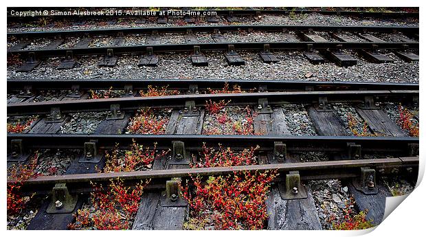  Train Tracks and sleepers Print by Simon Alesbrook