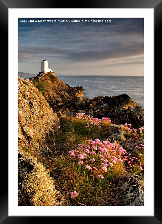 Wildflower Lighthouse II Framed Mounted Print by Matthew Train