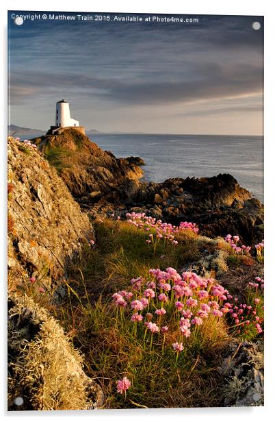Wildflower Lighthouse II Acrylic by Matthew Train