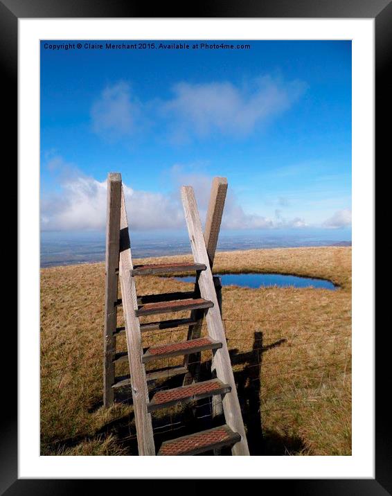  Stile Framed Mounted Print by Claire Merchant