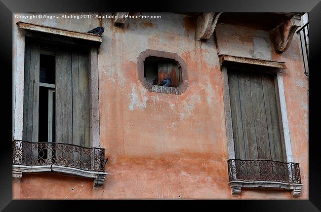 Pigeons relaxing in Bassano Del Grappa in Italy. Framed Print by Angela Starling