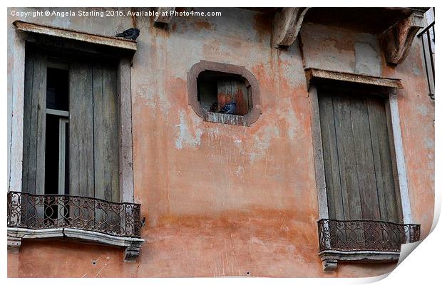  Pigeons relaxing in Bassano Del Grappa in Italy. Print by Angela Starling