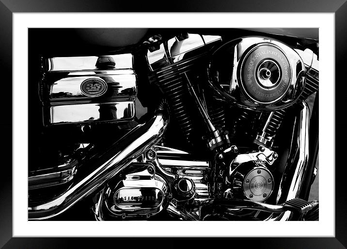  Polished Performance  Framed Mounted Print by Tim Bell