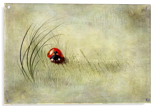  Ladybird  Acrylic by Svetlana Sewell