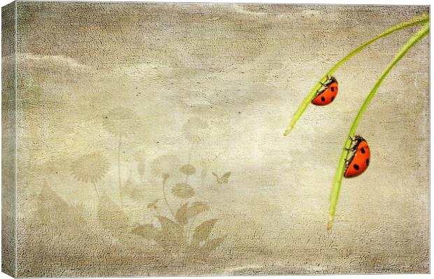  Ladybirds Canvas Print by Svetlana Sewell