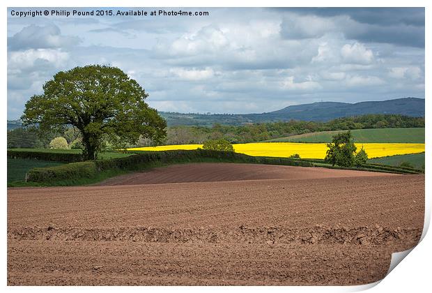  Shropshire Country View Print by Philip Pound