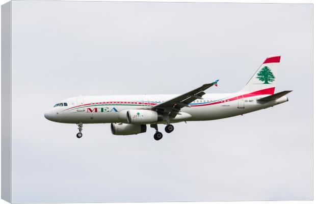 Middle Eastern Airlines Airbus Canvas Print by David Pyatt