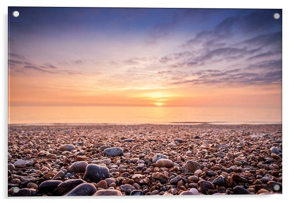  Pebbles on Hemsby Beach Acrylic by Stephen Mole