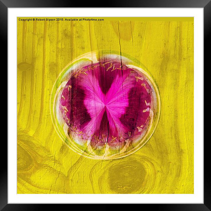  Butterfly bubble on wood Framed Mounted Print by Robert Gipson
