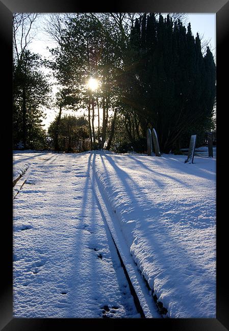 Long Shadows Framed Print by Pete Holloway