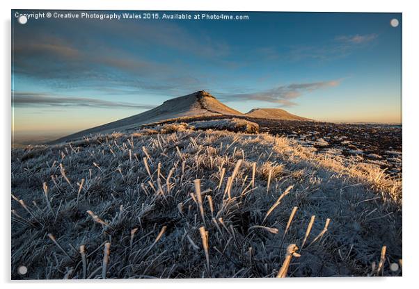  Frosted Grass in the Beacons Acrylic by Creative Photography Wales