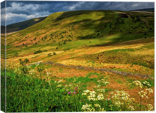 Brecon Beacons, Wales, UK Canvas Print by Mark Llewellyn