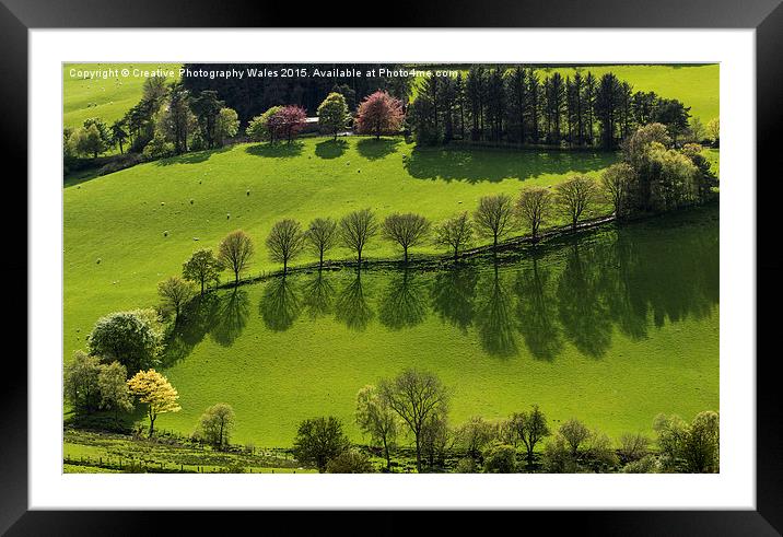 Epynt Trees Framed Mounted Print by Creative Photography Wales
