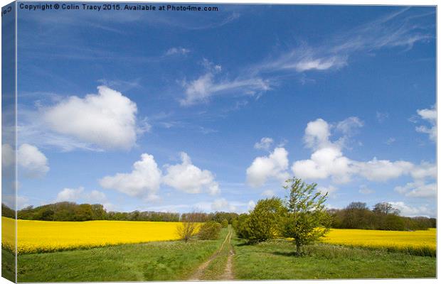  Trackway between rape fields Canvas Print by Colin Tracy