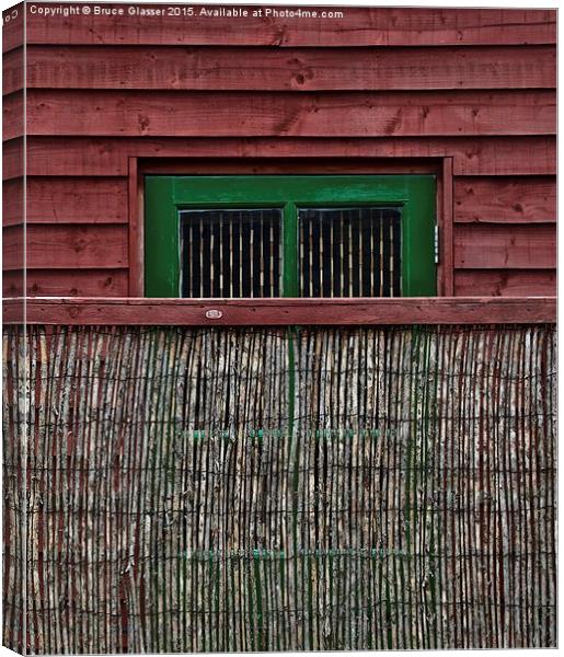  TEXTURES Canvas Print by Bruce Glasser