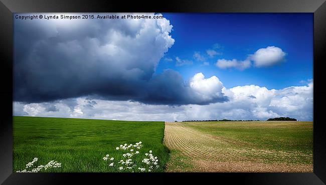  A tale of two halves Framed Print by Lynda Simpson