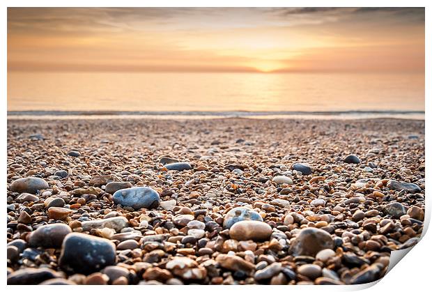  Pebbles on Hemsby Beach Print by Stephen Mole