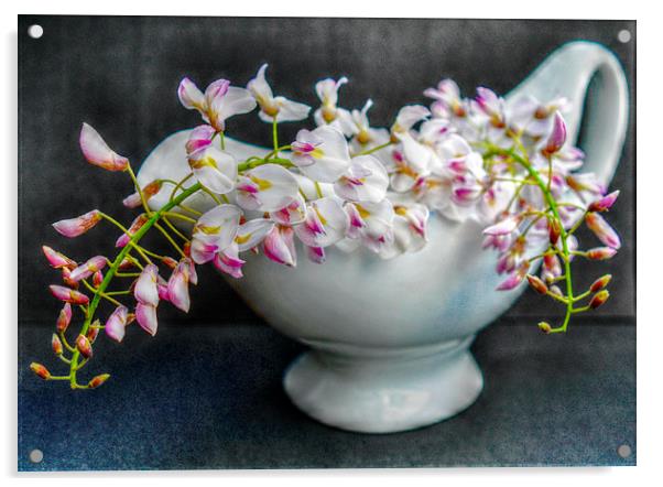  wisteria Acrylic by sue davies