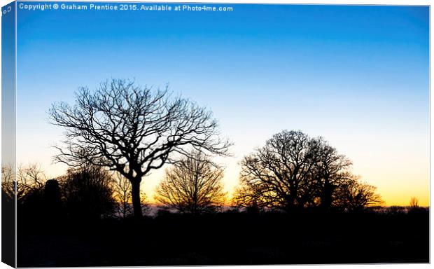 Sunset at RHS Gardens, Wisley Canvas Print by Graham Prentice