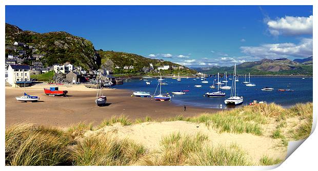 Barmouth From The Dunes Print by Anthony Michael 
