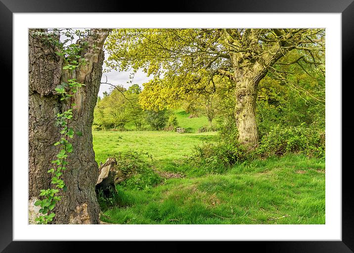  Countryside scene Framed Mounted Print by Brian Fry