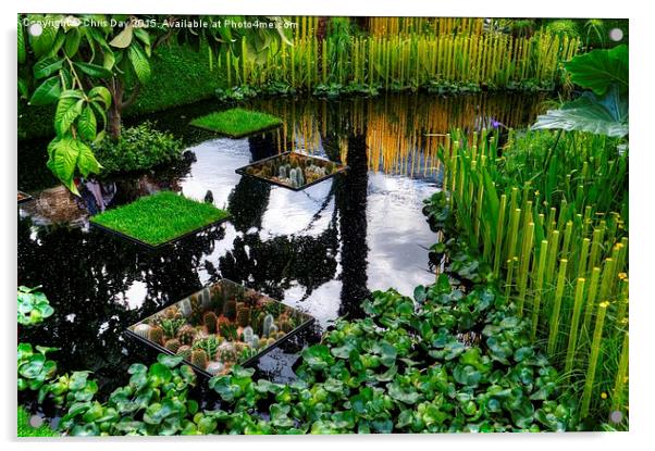 RHS Chelsea World Vision Garden Acrylic by Chris Day