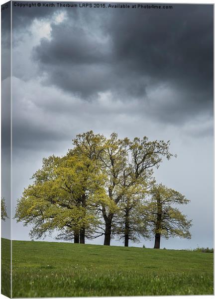 Trees in Weather Canvas Print by Keith Thorburn EFIAP/b