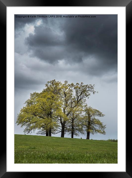 Trees in Weather Framed Mounted Print by Keith Thorburn EFIAP/b