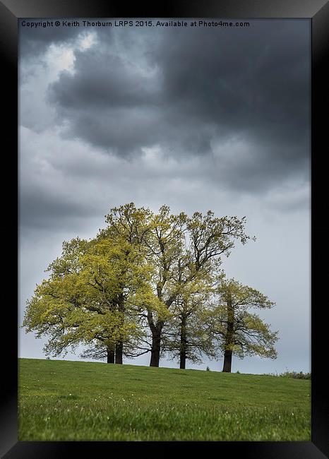 Trees in Weather Framed Print by Keith Thorburn EFIAP/b