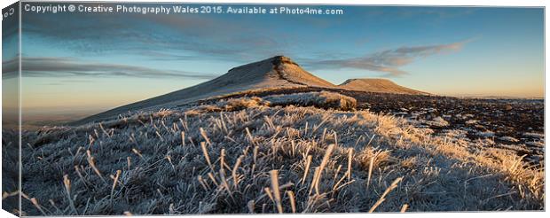 Frosted Grass Canvas Print by Creative Photography Wales