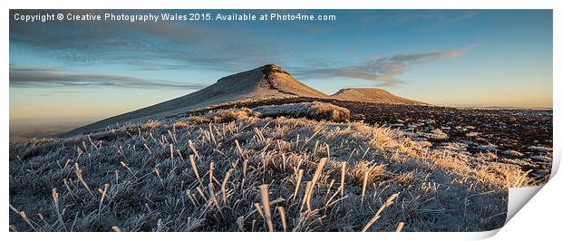 Frosted Grass Print by Creative Photography Wales