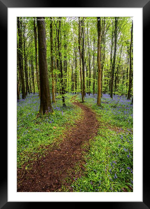 Path through the bluebell wood Framed Mounted Print by Creative Photography Wales