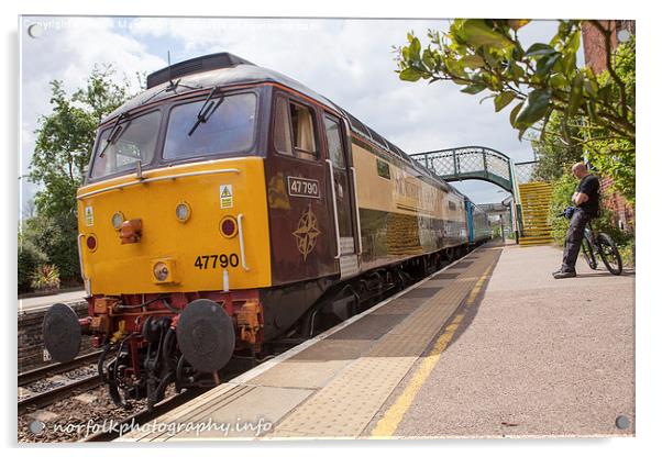  Class 47 Galloway Princess at Acle 47790 Acrylic by Howie Marsh