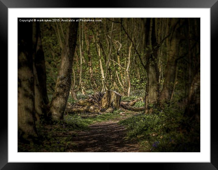  Forest Decay Framed Mounted Print by mark sykes