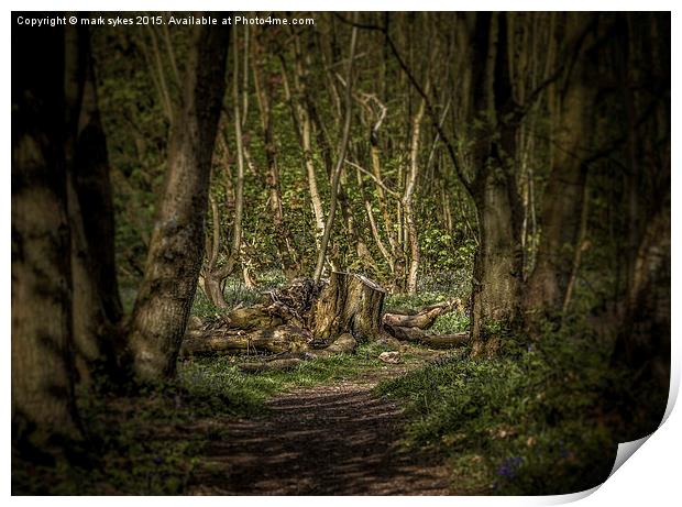  Forest Decay Print by mark sykes