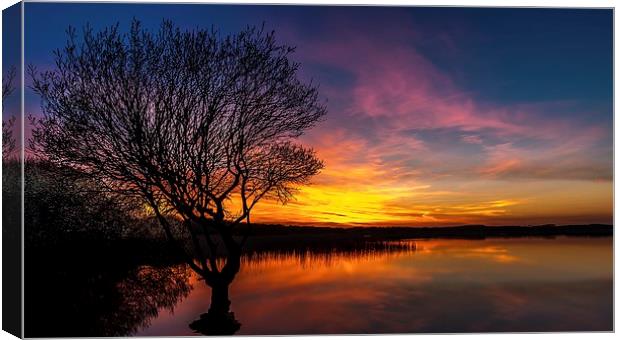  Fire in the Sky, Kenfig pool Canvas Print by Dean Merry