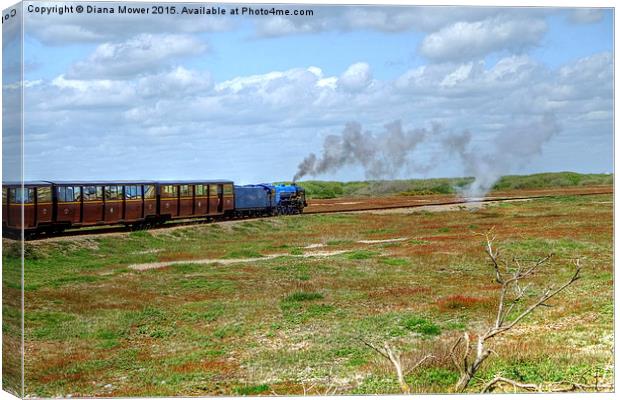  Dungeness Train Canvas Print by Diana Mower