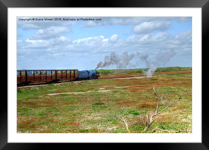  Dungeness Train Framed Mounted Print by Diana Mower