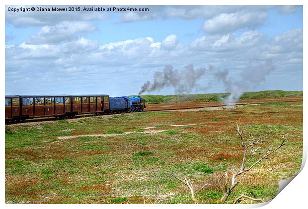  Dungeness Train Print by Diana Mower