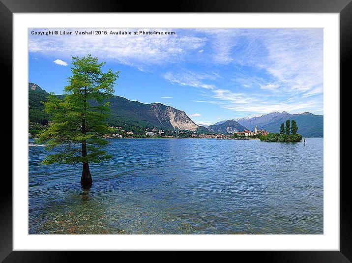  Lake Maggiore Italy  Framed Mounted Print by Lilian Marshall