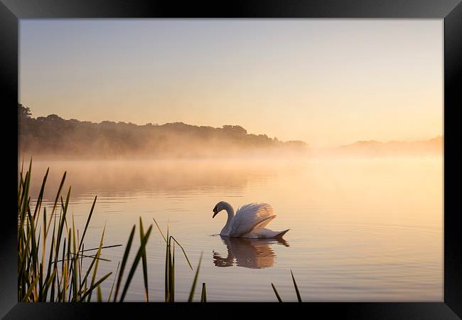 Serenity Framed Print by steve docwra